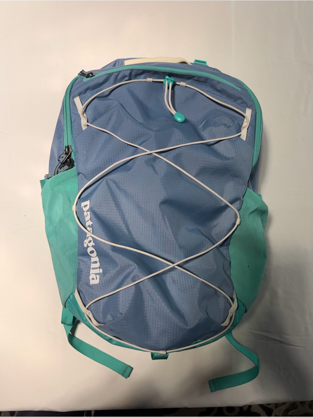 Patagonia Men’s Blue & Teal Daypack with Front Bungee